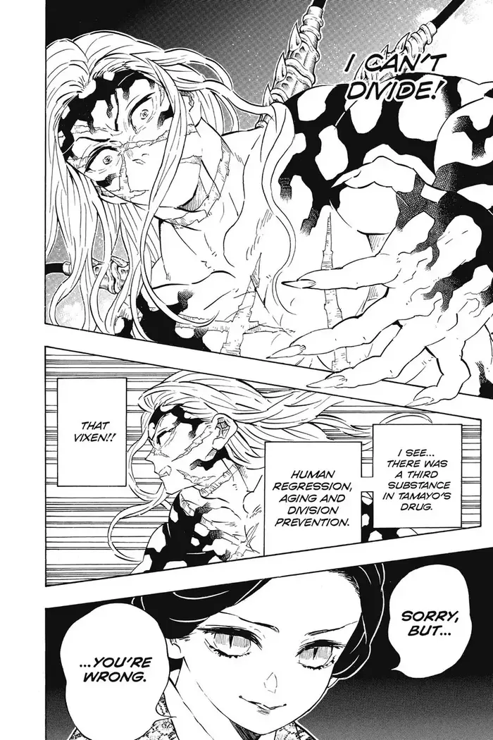 Demon Slayer Chapter 196 image 18_optimized